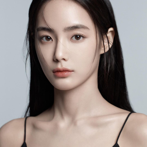 O Herdeiro Impossível 8 Hong Su zu