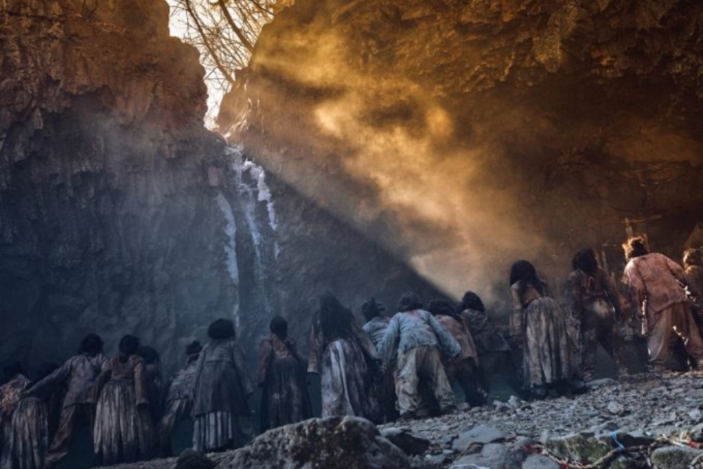 Kingdom 14 Kingdom 6 2