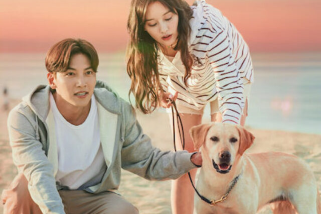 Apaixonados na Cidade