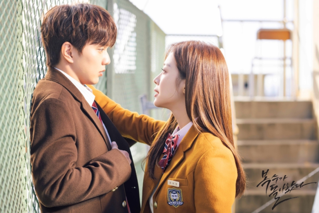 Melhores Doramas Escolares 5 meu estranho heroi