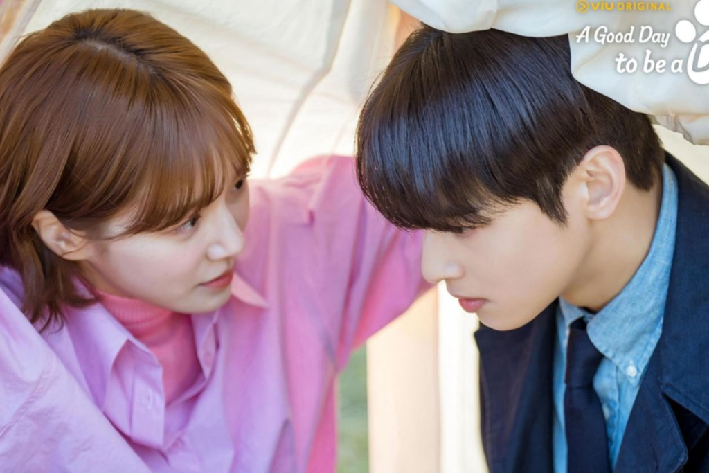 Um Bom Dia para Ser um Cachorro 6 Um Bom Dia para Ser um Cachorro