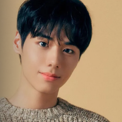 Nosso Triângulo Amoroso 3 Ahn Se Min