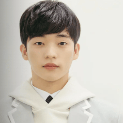 Flores de Cerejeira Depois do Inverno 2 Ok Jin Uk