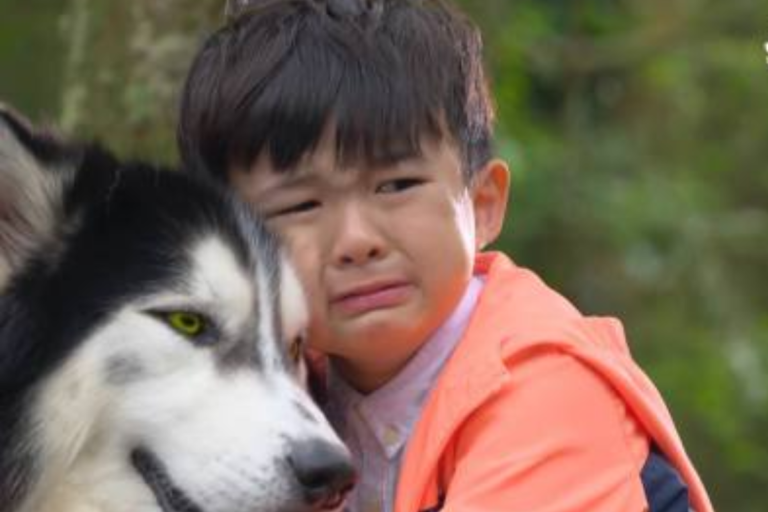 Principe dos Lobos 2