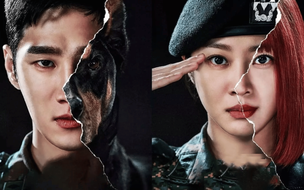 O Promotor Militar Dobermann 13 O Promotor Militar Dobermann 1 3