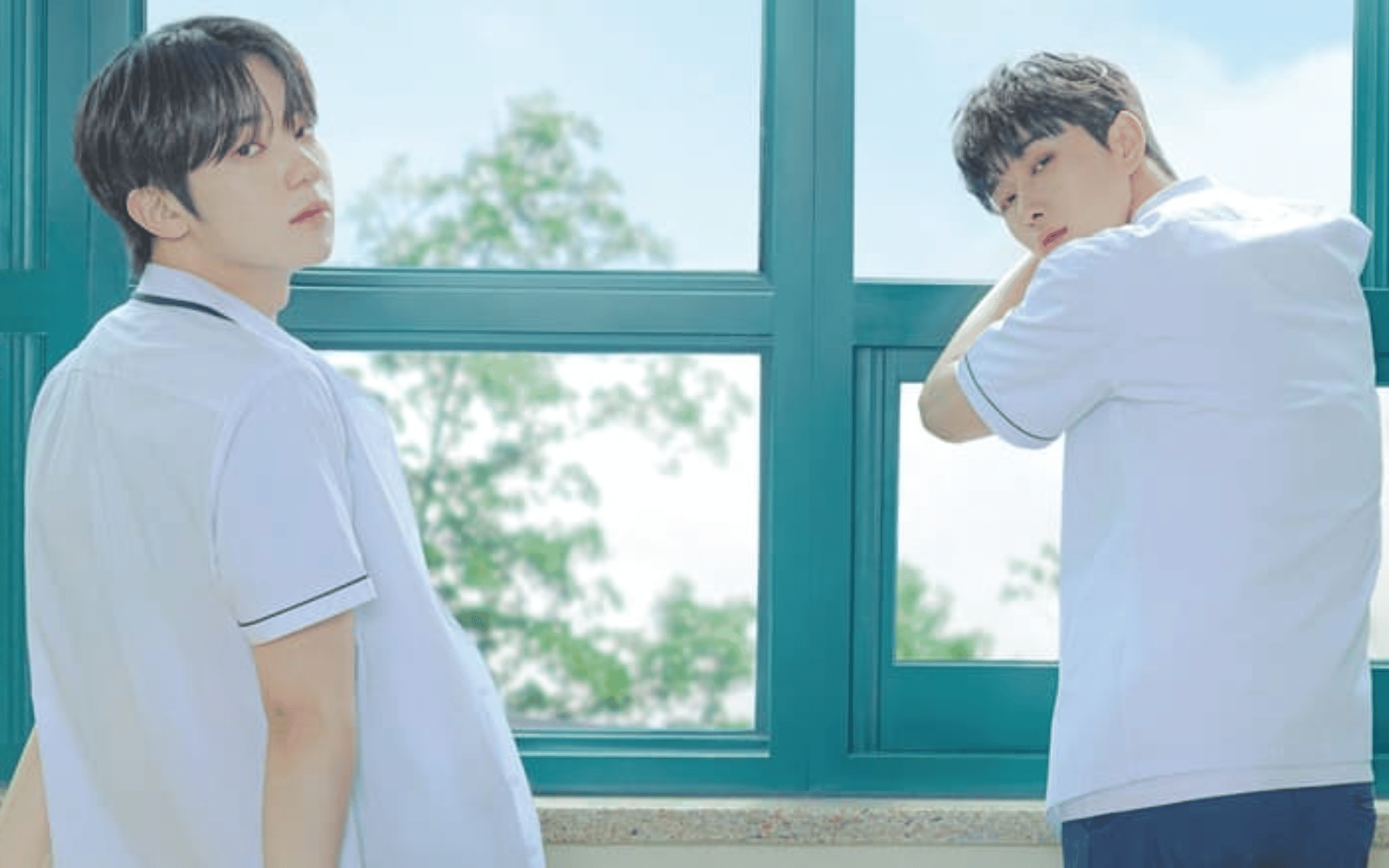 Um Ombro Para Chorar