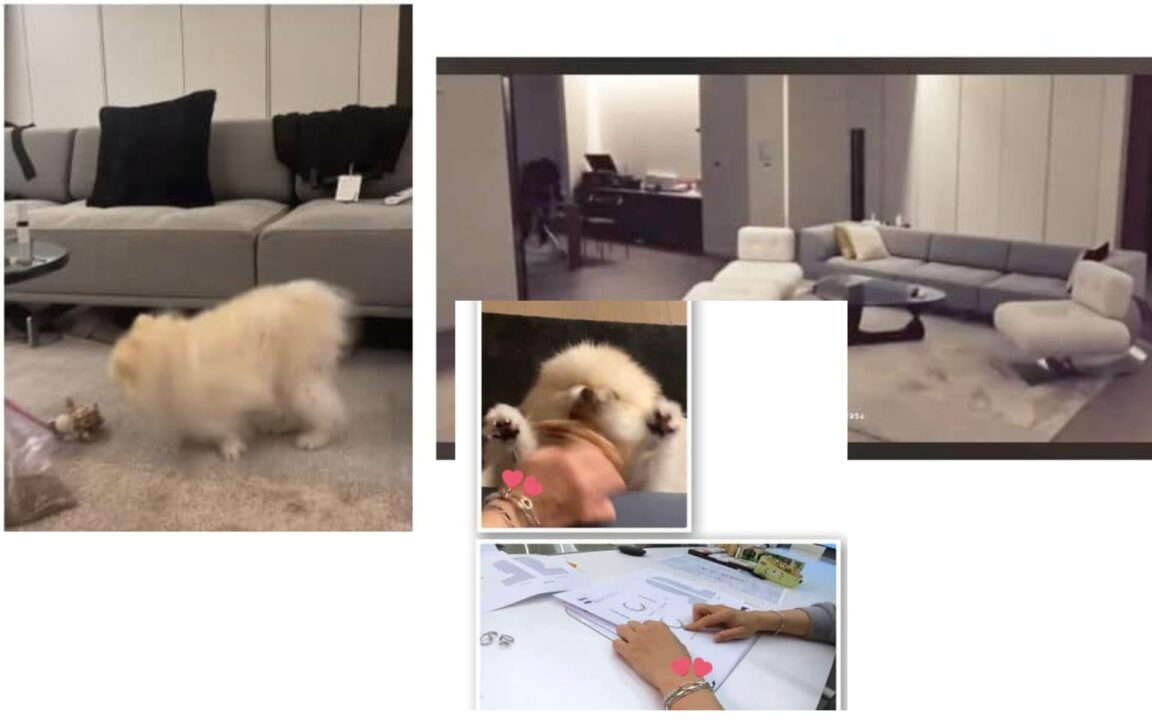 Suposto Namoro Entre Jimin do BTS e a Atriz Song Da-eun 3 namoro do jimin bts 1