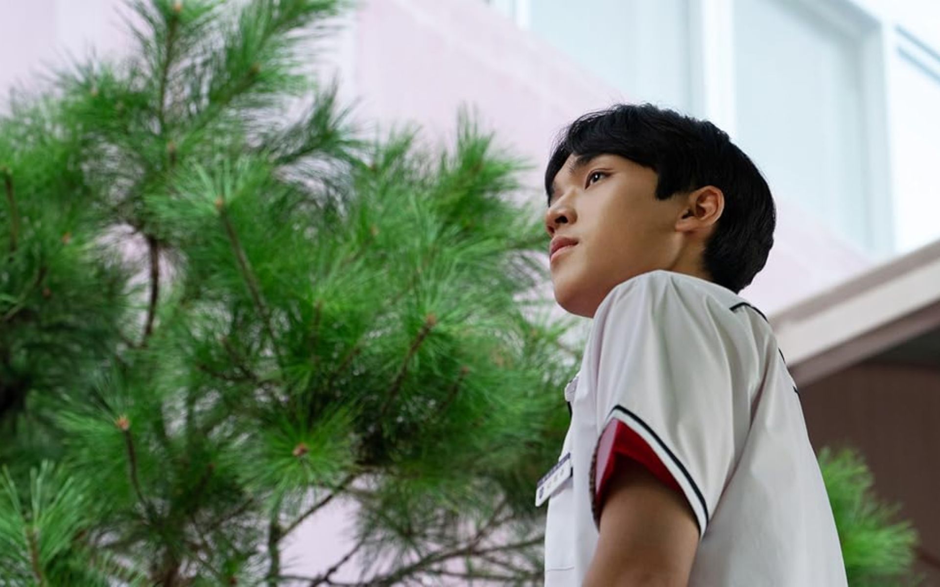 Diretor nota 9 (The Chairman is Level 9) 6 Diretor nota 9 3