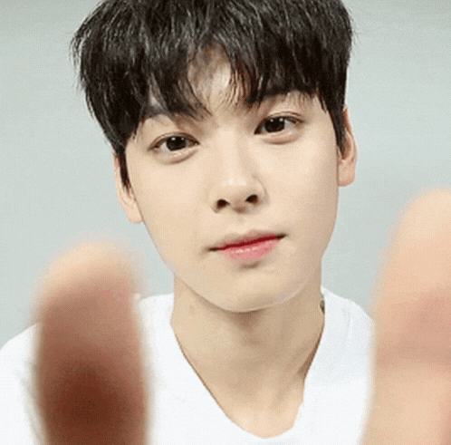 Cha Eun-woo