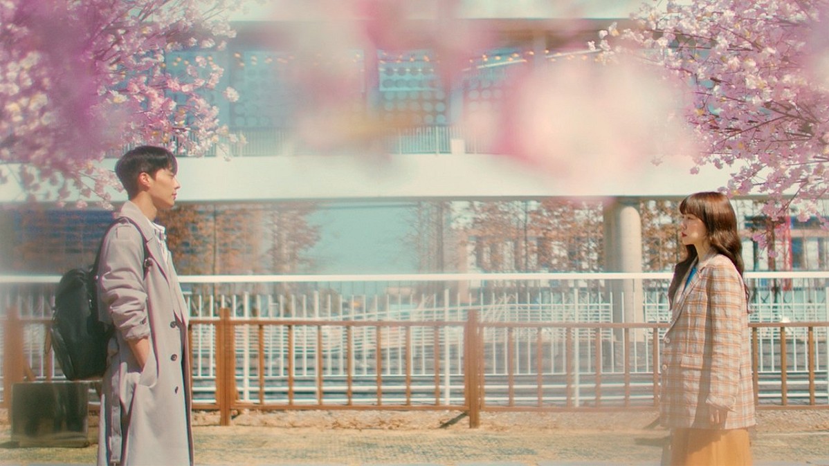 Search: WWW — Search: WWW dorama