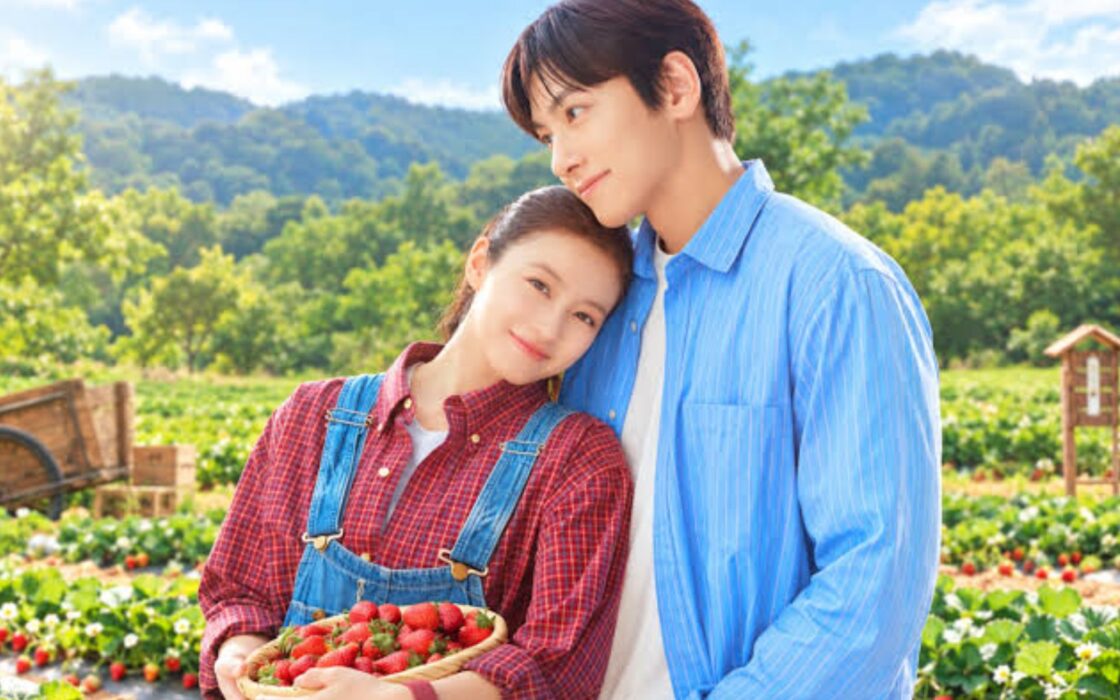 Amor, Doce Amor: conheça a história e o elenco do novo romance com Ji Chang-wook