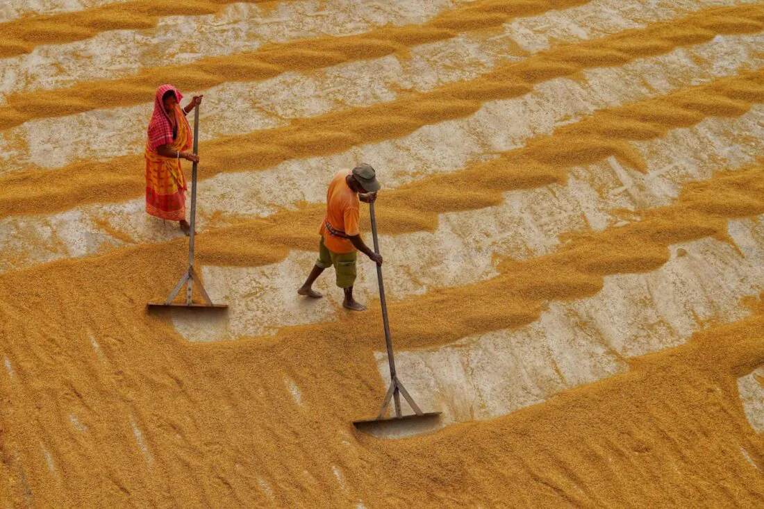 dibakar roy bOlepI63MfA unsplash 1400x933 1